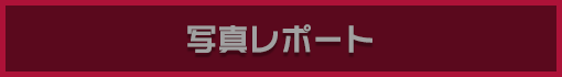 ʐ^|[g
