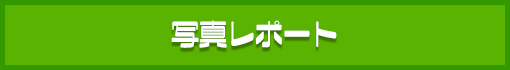�ʐ^���|�[�g